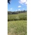OFERTA DE PROPRIEDADE INTEIRA - Chácara em Jupiá - SC