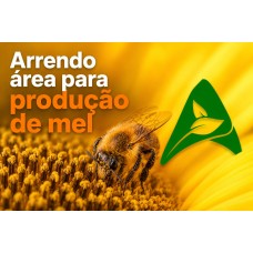 Tenho terra para arrendamento para apicultura 12 hectares